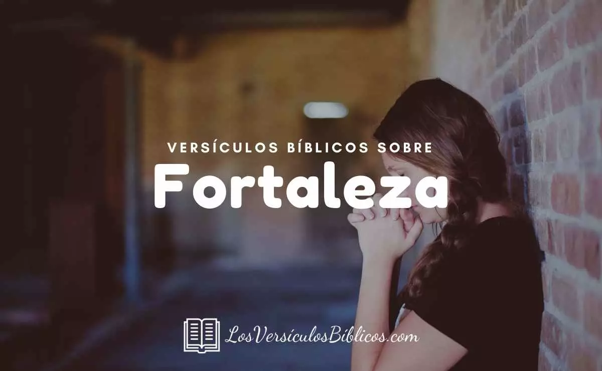 ▷▷ 29 Versículos de Fortaleza en la Biblia | Textos Bíblicos