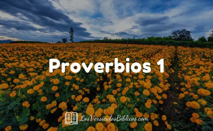proverbios, proverbios 1, proverbios biblicos, libro de proverbios, proverbios capitulo 1, proverbios de sabiduría, proverbios de salomón, proverbios reina valera, proverbios sabios, proverbios para jovenes, versiculos de proverbios, proverbios 1-7, proverbios 01, biblia proverbios 1