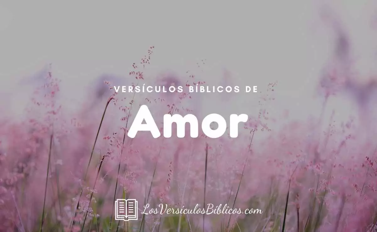 ▷▷ 40 Versículos de la Biblia sobre el Amor | 2023