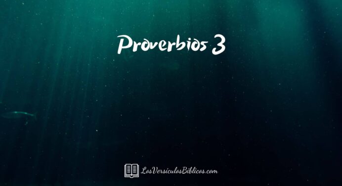 Proverbios 3 Diferentes Versiones, proverbios 3, proverbios 3 reina valera, proberbios 3 nueva version internacional, proverbios 3 nueva traduccion viviente, proberbios, proberbios biblia, libro de proberbios, proverbios de salomon, versiculos biblicos, versiculos de proverbios.