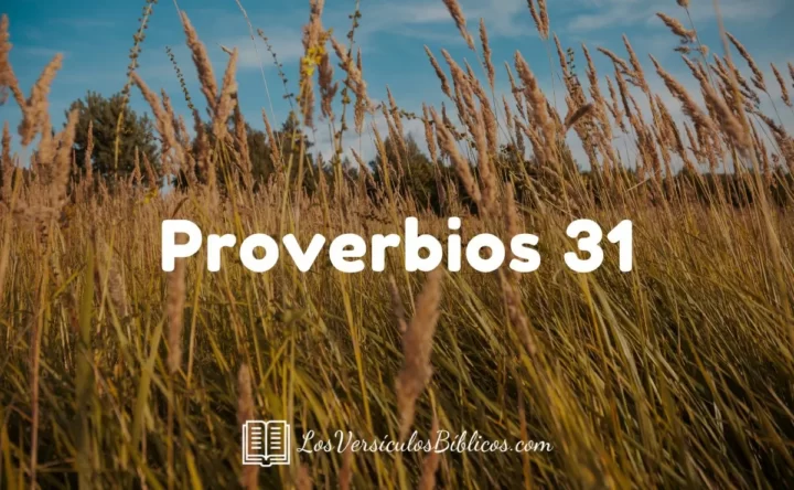 Proverbios 31 NVI - Mujer Virtuosa Quien la Hallará