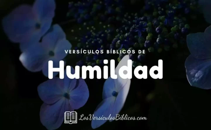 Versículos Bíblicos Sobre la Humildad