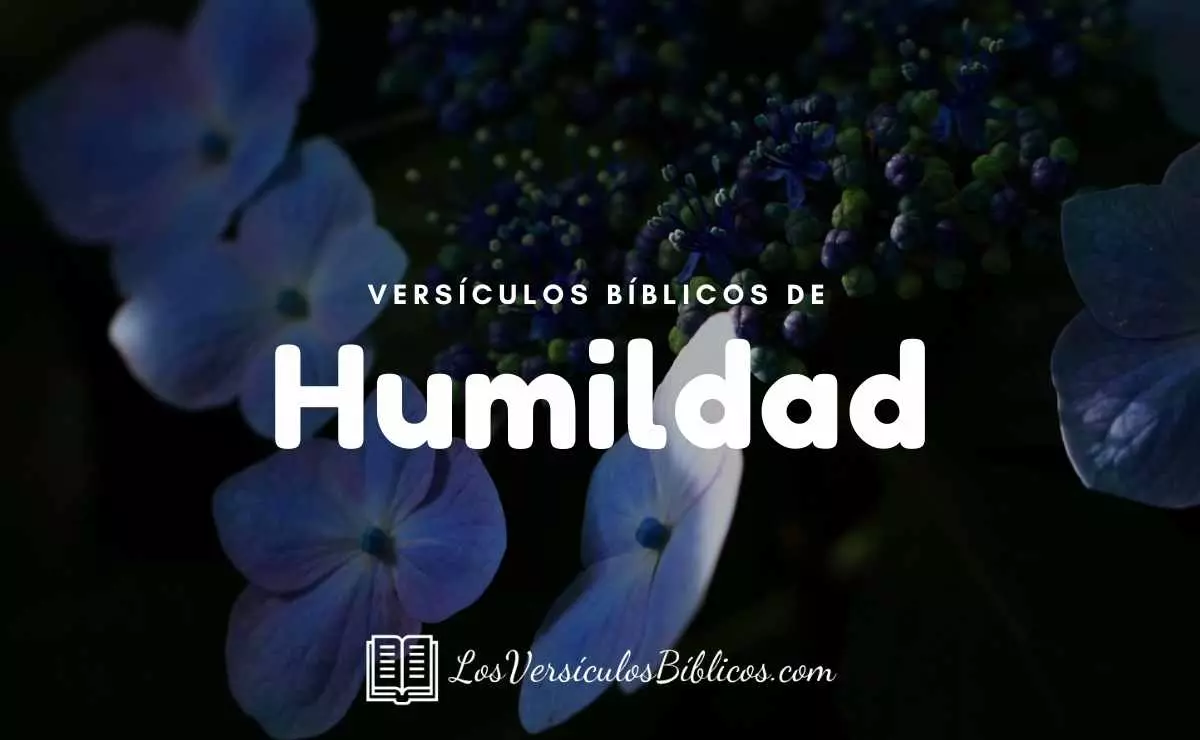 ▷▷ 32 Versículos Sobre la Humildad | Textos Bíblicos