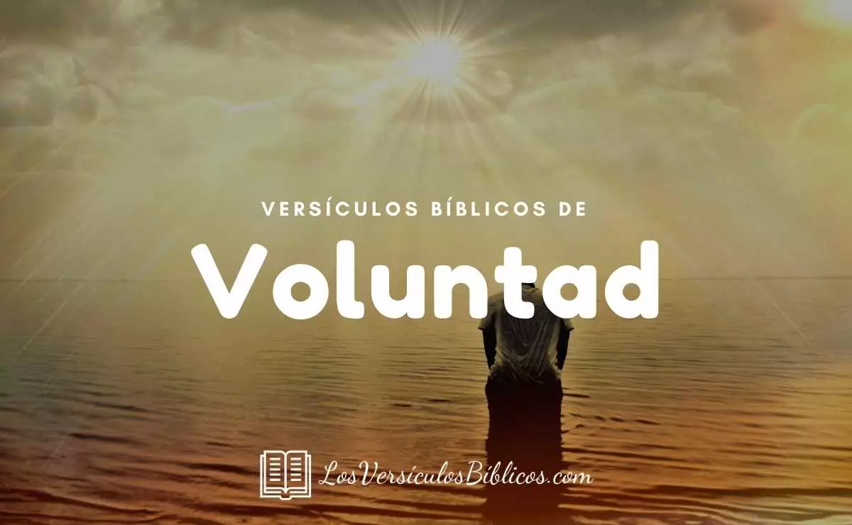 Versículos de la Biblia Sobre la Voluntad