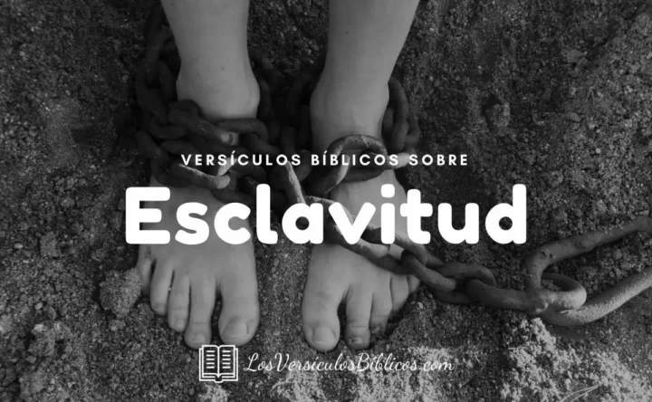 Versículos Sobre la Esclavitud en la Biblia